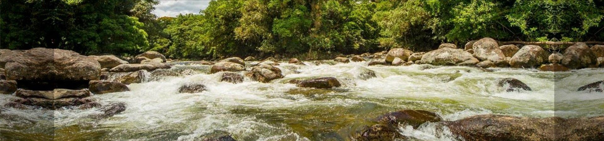 Rio Cachoeira ANTONINA PR 1