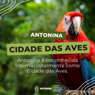 Antonina é Reconhecida Internacionalmente como Cidade das Aves