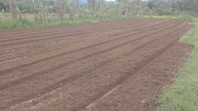 Prefeitura de Antonina reforça apoio ao campo e valoriza o trabalho dos agricultores locais