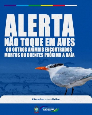 Prefeitura de Antonina alerta a população a não tocar em aves ou em outros animais mortos próximo a baía