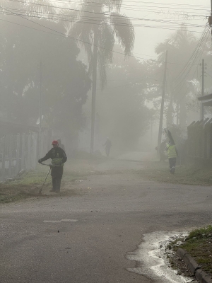 Limpeza e roçadas seguem pelo município