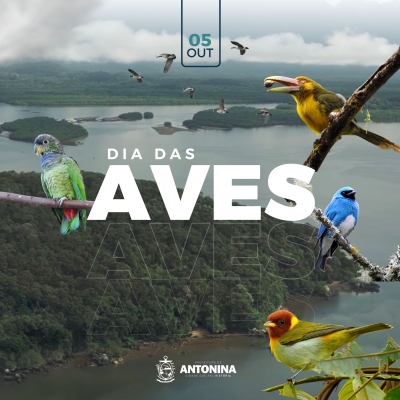 Dia 5 de Outubro dia das Aves