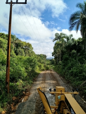 Prefeitura de Antonina realiza patrolamento e poda de árvores