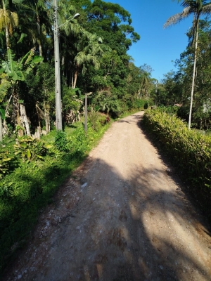Prefeitura realiza manutenção em estradas municipais 