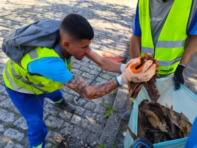 Prefeitura de Antonina intensifica ações de limpeza urbana no munícipio
