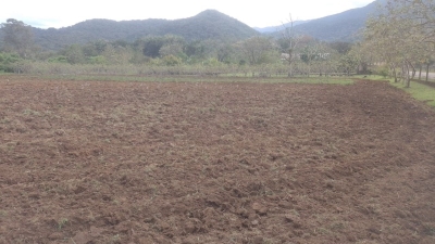 Prefeitura de Antonina realiza apoio agrícola no bairro Cachoeira