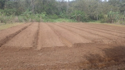 Prefeitura de Antonina apoia produtores rurais da região do Cachoeira 