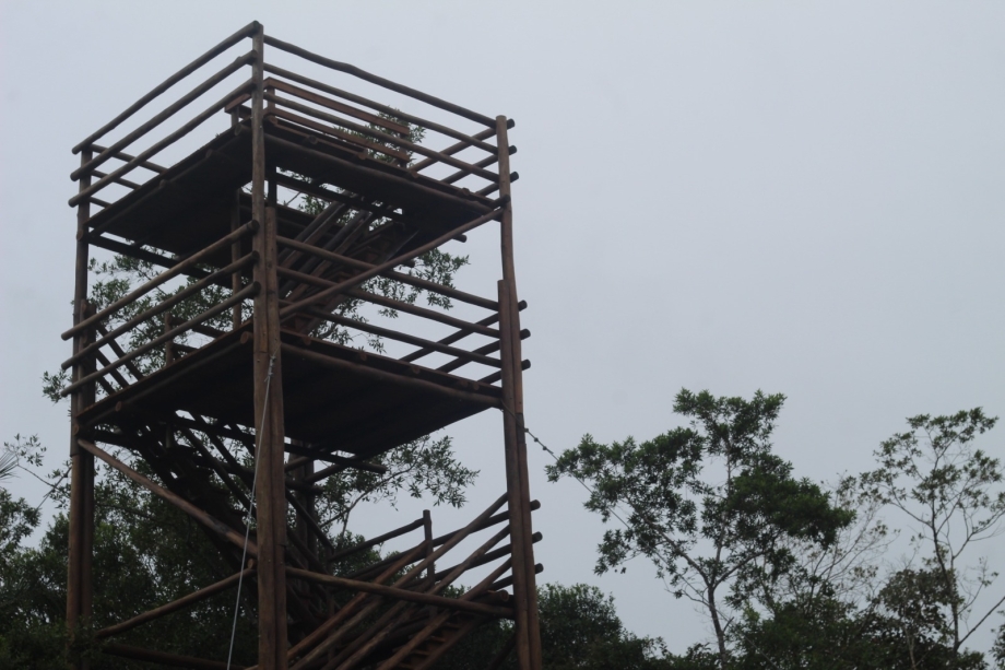 Torre de observação de aves representa avanço para conservação e turismo em Antonina 