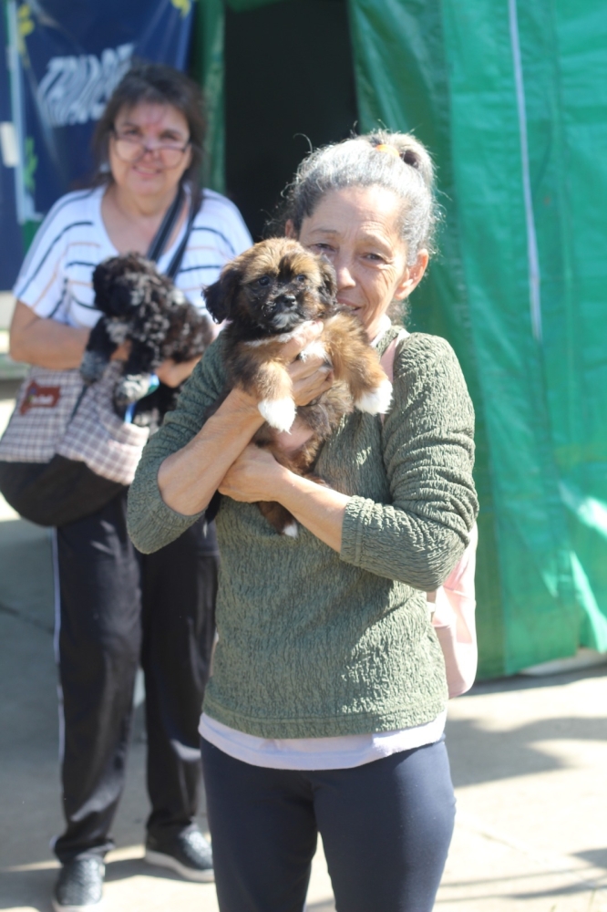 VetMóvel Paraná e atende mais de 400 animais em dois dias em Antonina