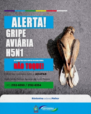 Prefeitura de Antonina alerta a população a não tocar em aves ou em outros animais mortos próximo a baía