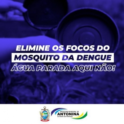 Antonina contra dengue