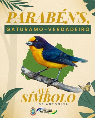 Gaturamo-verdadeiro (Bonito lindo) é a Nova Ave-Símbolo de Antonina!