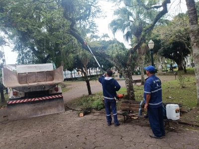 Prefeitura de Antonina realiza podas de árvores na praça Coronel Macedo no Centro da cidade