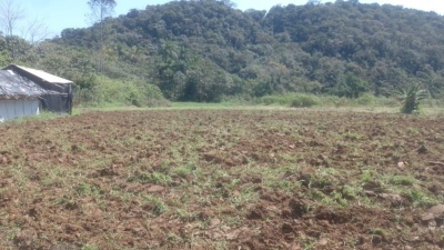 Prefeitura de Antonina apoia comunidade Yakã Mirim com serviços agrícolas