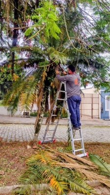 A Prefeitura de Antonina segue trabalhando diariamente.