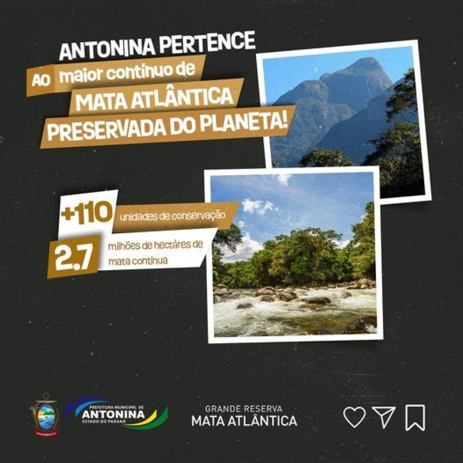 Antonina faz parte de uma grande parte da flora preservada da Mata Atlântica 